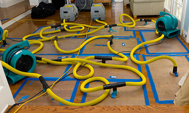 Professional Crawl Space Water Removal technician working in Rocky Point, NY